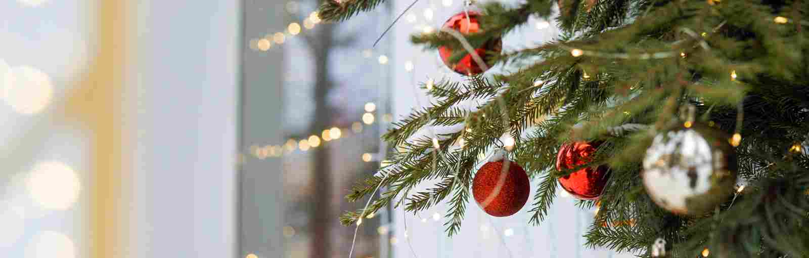 Weihnachten 2025/2026